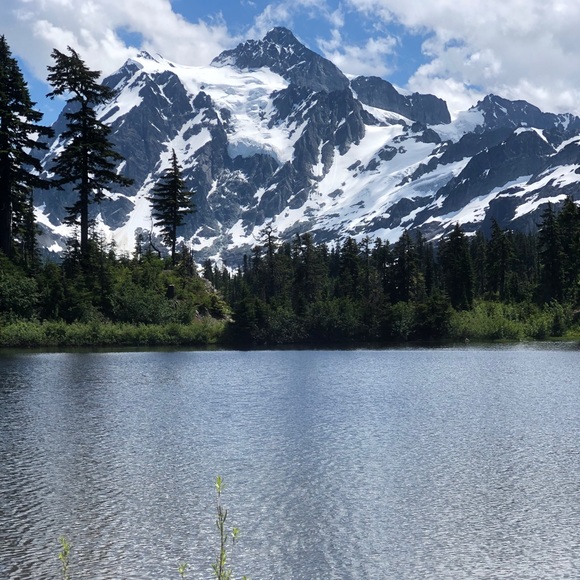 Meet your Posher, Jessica - Picture 1 of 1